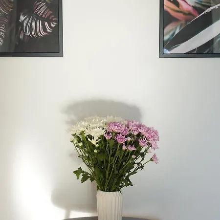 Spacious 4-room In Center Apartman